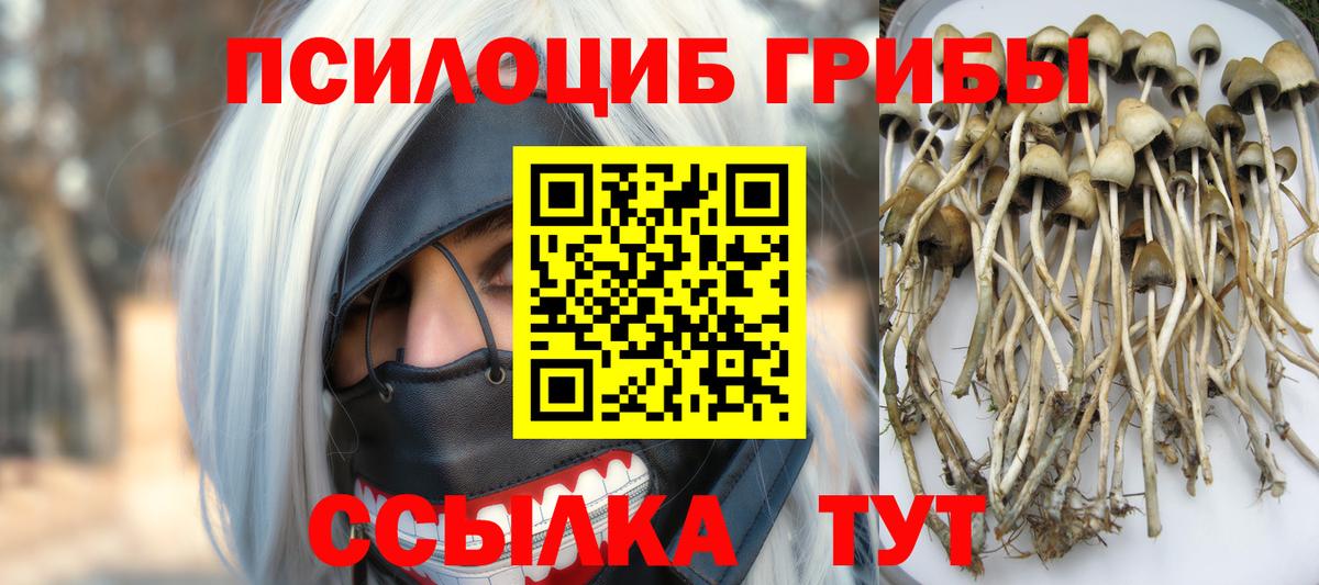 Гулькевичи  Псилоцибиновые грибы MAGIC MUSHROOMS  Вход с VPN  Псилоцибиновые грибы GOLDEN TEACHER 